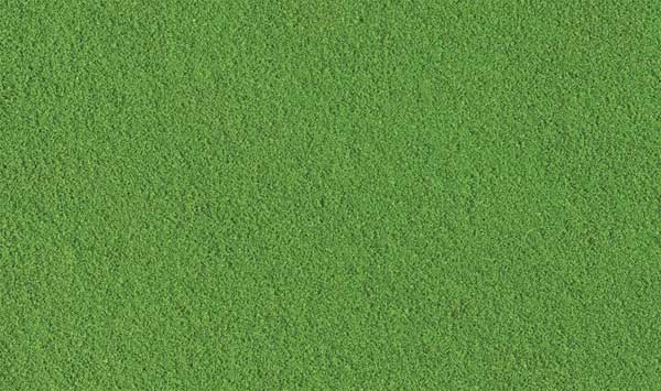 Woodland Scenics Fine Turf, Shaker Bottle, 32 oz, 907g, Green Grass, All Scales
