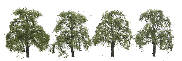 JTT Miniature - Professional Series Ash Trees - 2" - Pkg of 4 - N Scale