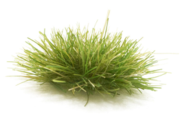 Woodland Scenics, Peel 'n' Place Tufts, Medium Green Grass