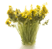 Woodland Scenics, Peel 'n' Place Tufts, Light Green Prairie Grass