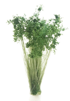 Woodland Scenics, Peel 'n' Place Tufts, Dark Green Prairie Grass