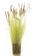 Woodland Scenics, Peel 'n' Place Tufts, Brown Tipped Prairie Grass