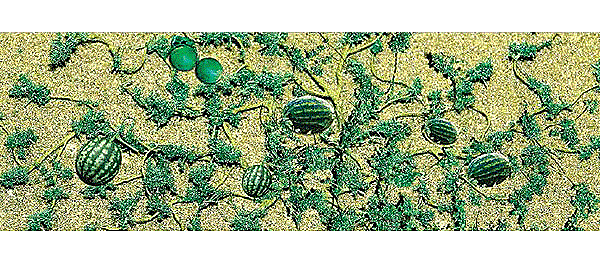 JTT Miniature, Watermelon Patch, Package of 6, HO Scale
