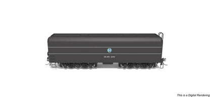 Broadway Limited Imports 10572 DLMX 4219 Auxiliary Water Tender BNSF Employee Special Scheme HO Scale Pre-Order