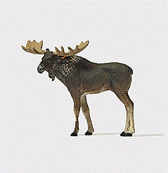 Preiser Kg - Moose - HO Scale