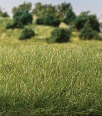 Woodland Scenics (6584) • Static Grass 9/32" 7mm Tall • All Game Terrain • Medium Green • All Scales