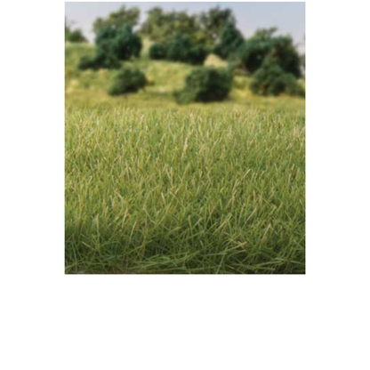 Woodland Scenics (6584) • Static Grass 9/32" 7mm Tall • All Game Terrain • Medium Green • All Scales