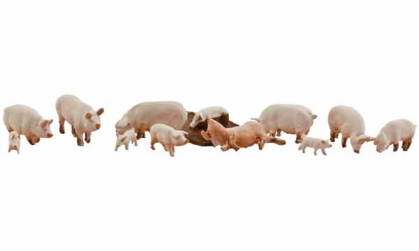 Woodland Scenics (1957) | Yorkshire Pigs | Pkg of 12 | HO Scale