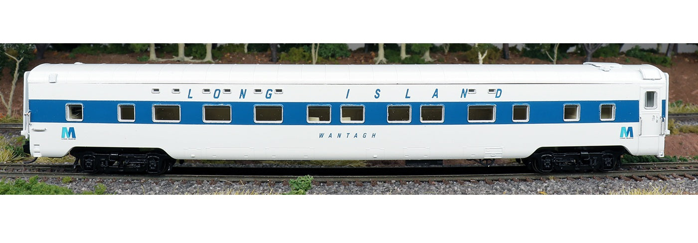 Centralia Car Shops / InterMountain - PS 4-4-2 Sleeper - Long Island "Wunneweta" - N Scale